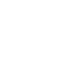 Heart Icon